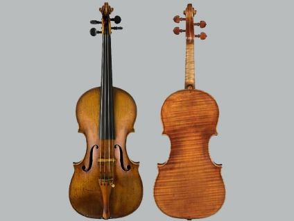 Violino